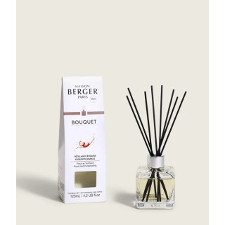 Zestaw Patyczki Kostka Szampan