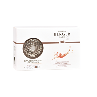 Dyfuzor do auta Szampan