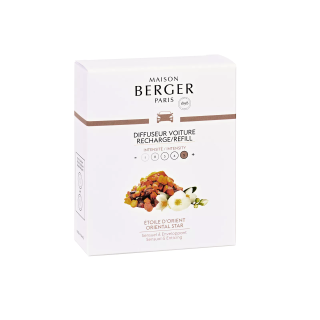 Wkład do dyfuzora Gwiazda orientu